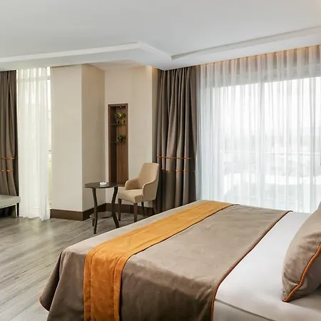 B Business & Hotel