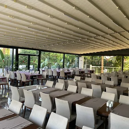 B Business & アンタルヤ